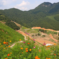 浙江实施绿色矿山质量再提升三年行动！